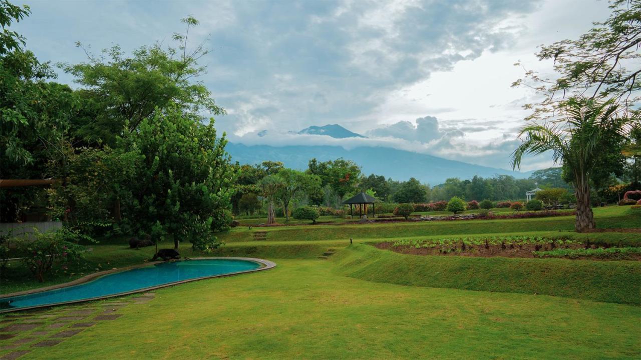 K Gallery Hotel Pasuruan Exteriör bild